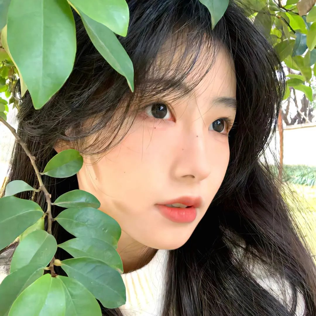 泰德与维纳斯
