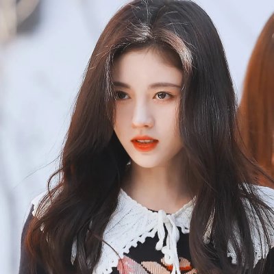 救援狗